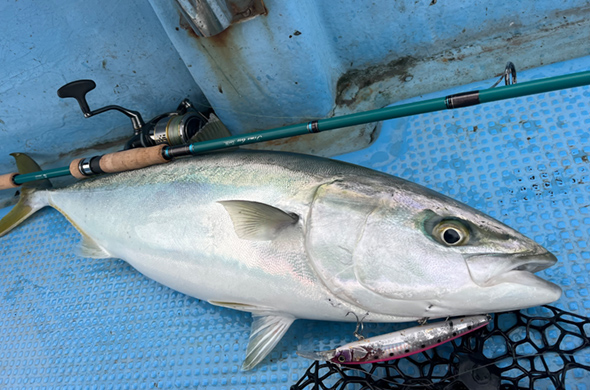 TIMELESS（タイムレス）