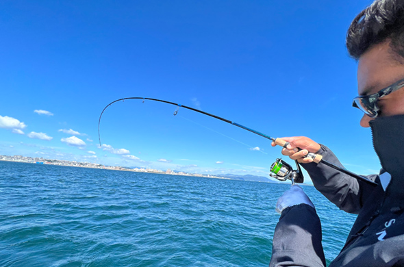 TIMELESS（タイムレス）