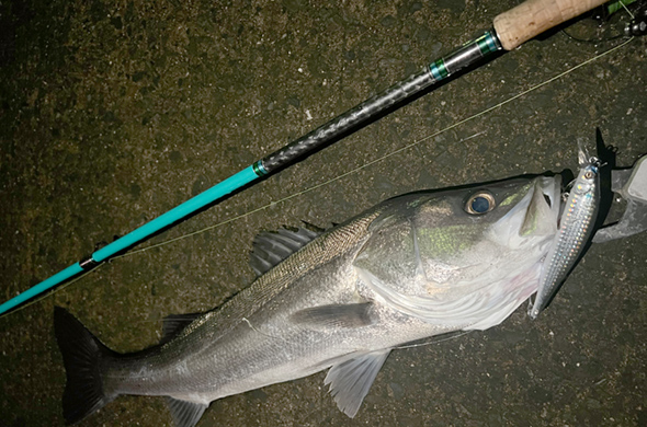 TIMELESS（タイムレス）