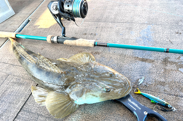 TIMELESS（タイムレス）